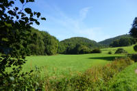 Odenwald Foto: Sommerwiesen bei Gronau Odenwald Foto: Sommerwiesen bei Gronau