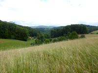 Odenwald Foto: Getreidefeld Odenwald Foto: Getreidefeld