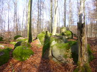 Odenwald Foto: Granitfelsen im Wald