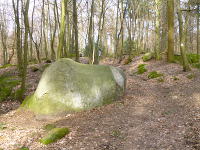 Odenwald Foto: Steinerner Gaul