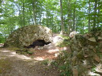 Odenwald Foto: Hirschburg