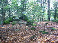 Odenwald Foto: Götzenstein