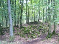 Odenwald Foto: Lesesteinhaufen