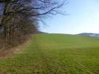 Odenwald Foto: Winterwiese