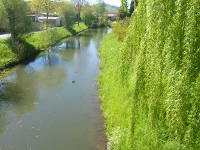 Odenwald Foto: Weschnitz bei Reisen