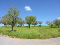 Odenwald Foto: Obstbäume