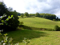 Odenwald Foto: Hügel und Wiesen