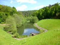 Odenwald Foto: Kanzelbach Feuchtbiotop