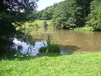 Odenwald Foto: Rückhaltebecken am Kanzelbach