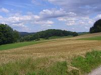 Odenwald Foto: Felder und Wiesen 