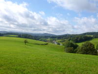 Odenwald Foto: Ober-Liebersbach