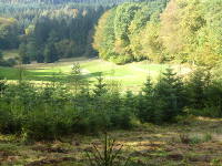 Odenwald Foto: oberes Eiterbachtal