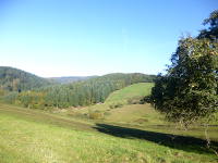 Odenwald Foto: bei Steinklingen