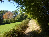 Odenwald Foto: Licht und Schatten