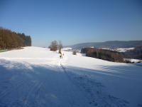 Odenwald Foto: Höhenweg bei Hilsenhain