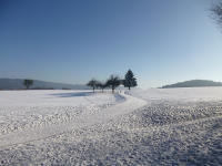 Odenwald Foto: Schneelandschaft