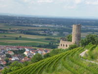 Odenwald Foto: Strahlenburg