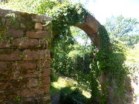 Odenwald Foto: Burg Reichenstein