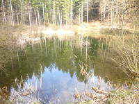 Odenwald Foto: Oberer Weiher