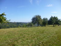 Odenwald Foto: Streuobstwiesen