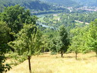 Odenwald Foto: Neckarblick