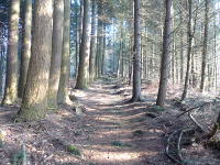 Odenwald Foto: 