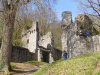 Odenwald Foto: Burg Rodenstein