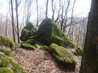 Odenwald Foto: Wildweibchenstein