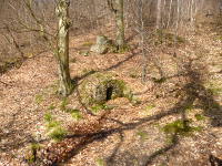 Odenwald Foto: Eichbrünnchen