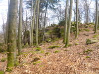 Odenwald Foto: Rimdidim