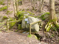 Odenwald Foto: Lauterquelle