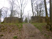 Odenwald Foto: Burg Schnellerts