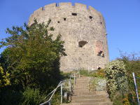 Odenwald Foto: Bollwerk