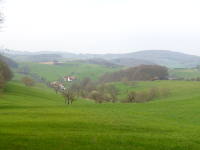 Odenwald Foto: Rohrbach