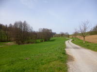 Odenwald Foto: Wanderweg