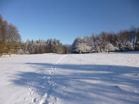 Odenwald Foto: Schannenbacher Hochmoor