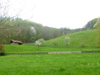 Odenwald Foto: Schlierbachtal