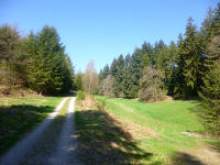 Odenwald Foto: Waldschneise