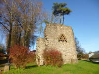 Odenwald Foto: Kapellenruine Hammelbach