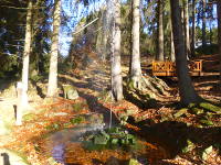 Odenwald Foto: Der Kalte Brunnen