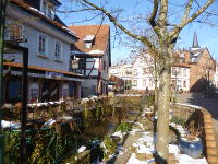 Odenwald Foto: Wald-Michelbach