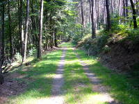 Odenwald Foto: Wanderweg