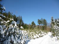 Odenwald Foto: Wanderweg zur Tromm