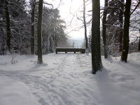 Odenwald Foto: Steinerne Bank