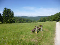 Odenwald Foto: Waldschneise