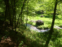 Odenwald Foto: Eiterbach