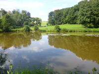 Odenwald Foto: Teich