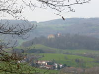 Odenwald Foto: Schloss Reicheberg