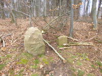 Odenwald Foto: Grenzsteine