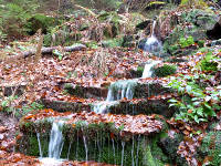 Odenwald Foto: Berndsbrunnen bei Olfen